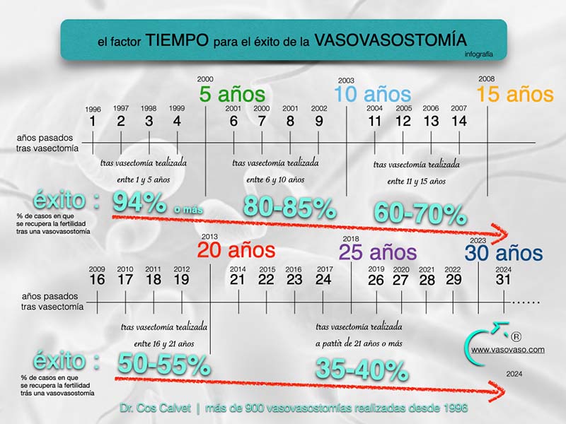 vasovasostomía 2025 | infografía | recuperación de fertilidad tras una vasectomía